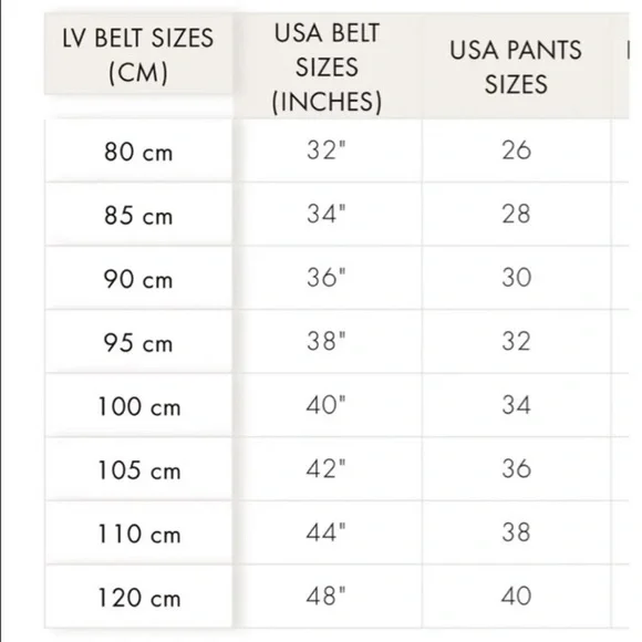 LV monogram belt - Picture 6 of 6